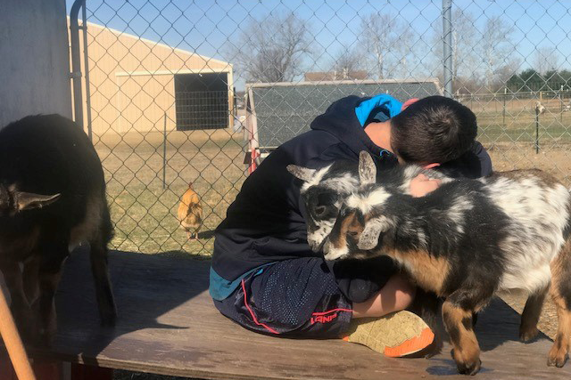 Healing Hearts with Animal-Assisted Therapy